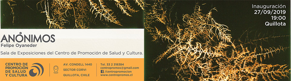 Exposición “Anónimos” de Felipe Oyaneder se inaugurará en Quillota