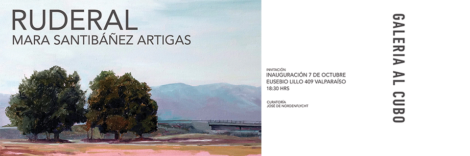Artista visual Mara Santibáñez expondrá conjunto de pinturas en Espacio La Compañía de Valparaíso